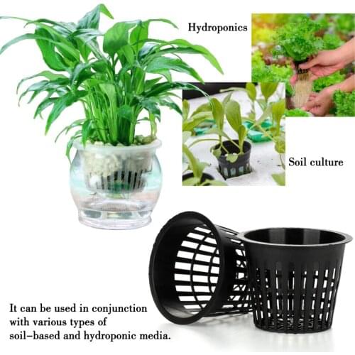 Gardening Hydroponics Set Plastic Plant Cups Absorbent Cotton Rope Suit Pots Slotted Mesh Black 2021 Original Planting Basket