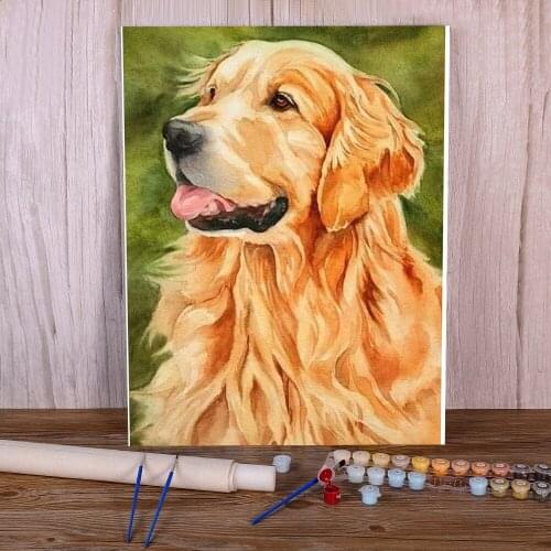 Animal Golden Retriever DIY Paint By Numbers Package Oil Paints 50*70 Painting On Canvas Handmade For Kids Art