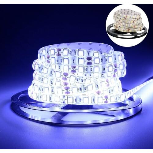 LED Strip Waterproof 2835 DC12V 60LEDs/m 5m/lot Flexible LED Light RGB 5050 LED Strip White / Warm White /Red / Greed / Blue