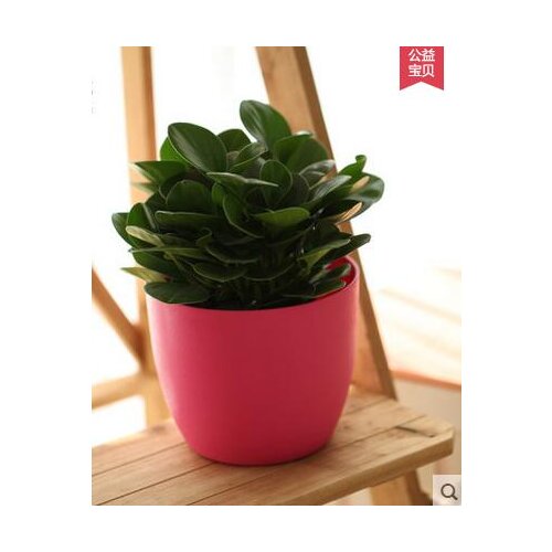 Circular Balcony Flowerpot Green Resin Plastic Pot Automatic Irrigation Reservoir Lazy Colored Pots Good Quality Flower Pot