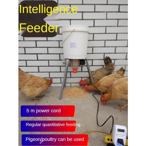 Automatic Pet Feeder Pet Supplies