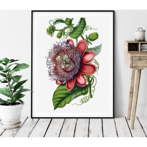 Giant Passion Flower Print Antique Victorian Botanical Canvas Print Floral Plant Picture Vintage Painting Living Room Wall Decor
