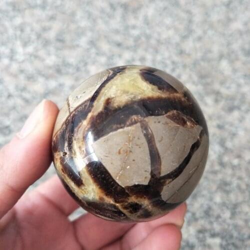 DHX SW Natural septarian sphere septarium Natural Dragon Stone Septarium Fossil Crystal Sphere Ball Healing Free shipping