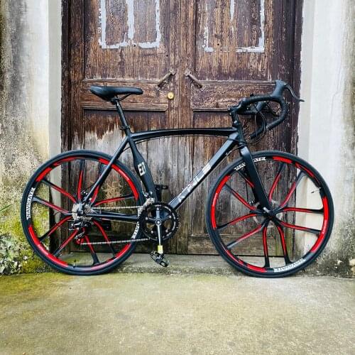 Road bike 14 speed Double Disc Brake Bike 51cm frame aluminum alloy road bicycle Completed bike 700C