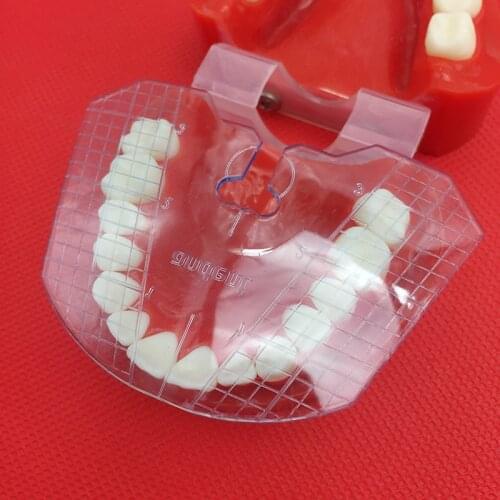 1pcs dental lab dental guide plate teeth arrangement on denture tools dental supply tooth