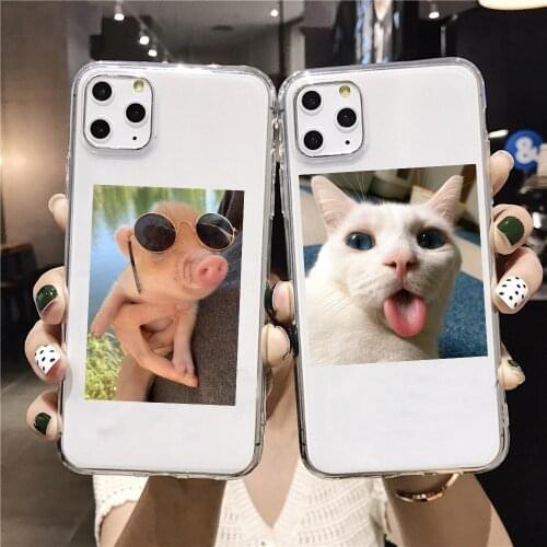 Lovely Funny Cat Soft TPU Clear Phone Case For Apple iPhone 12 X XS XR 8 7 6S Plus Case For iPhone 11 Pro Max Cases Coque Capa