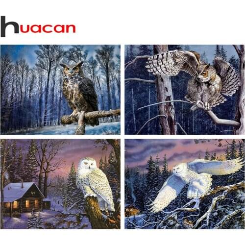 Huacan 5D Diamond Mosaic Full Owl Pictures Of Rhinestones Diamond Painting Set Snow Embroidery Home Decoration
