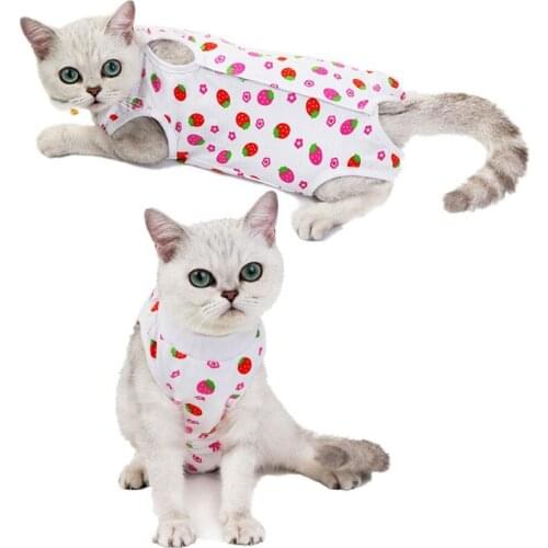 Pet Cat Recovery Weaning Clothes Postoperative Recovery Clothing Cat Clothes Anti-licking Strawberry Costume Cute Cozy Cats