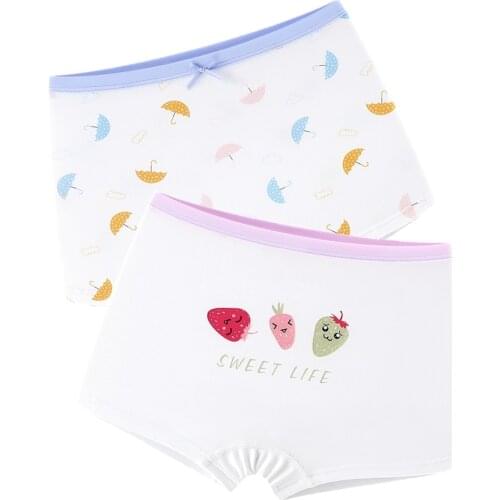 2pcs Plaid Girls Briefs Underwear Purple Red Spandex Stretchy Kids Panties Underpanties 12 13 14 15 16 Years Clothes OWU203005