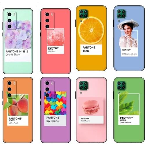 Black tpu Case For Huawei P30 Lite P30 Pro P40 Case For Huawei P40 LITE E P Smart Pantone Candy Color Fruit Cookies sunshine sky