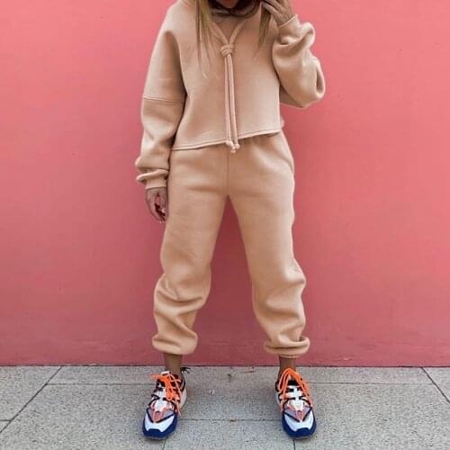 Fashion Loose Casual Hoodie Suit Two Piece Set Womens Tracksuits Womens Solid Color Two Piece Sets Thick Warm Suits