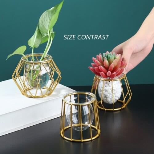 Modern Nordic Metal Glass Vase Terrarium Geometric Iron Line Vase Hydroponic Plant Flower Vase Plant Holder Home Decor