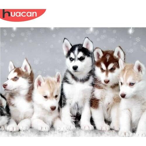 HUACAN 5D Diamond Painting Dog Full Square Round Diamond Mosaic Animal Diamond Embroidery Sale Cross Stitch Decoration