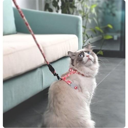 Cat Harness Leash Set Adjustable collar Fashion Pet Cat Kitten Collar Pet Harness Belt Cat Supplies accesorios para gatos