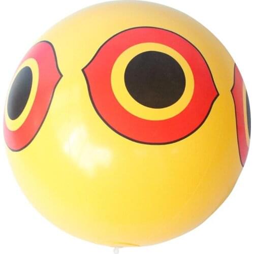 Inflatable Bird Ball Eye Ball 40cm 60cm PVC Beach Balls outdoor games