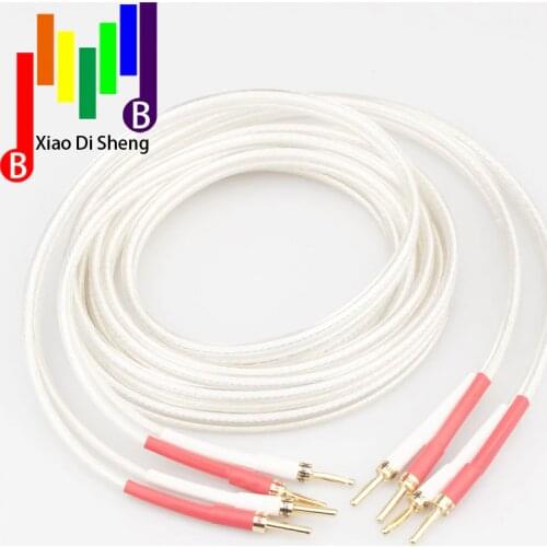 One Pair xangsane SP-8525 HIFI Silver-plated Speaker Cable Hi-end 6N OCC Speaker Wire For Hi-fi Systems Amplifier Connecting lin