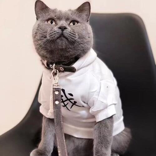 Pet products dog accessories Strap Harness Traction Rope Leash Set Small Medium Dogs Pet Walk Out Lead Harness Accessories