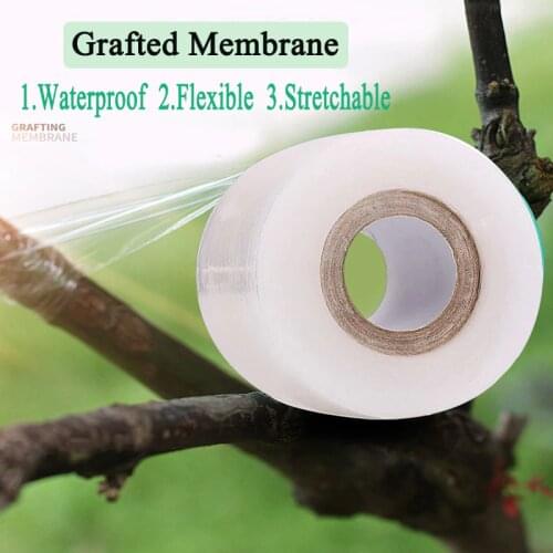 2CM x 100M / 1 Roll Grafting Film Tape Garden Tools Fruit Tree Secateurs Engraft Branch Gardening bind belt PVC tie Tape
