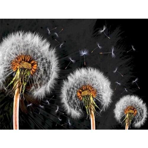 GATYZTORY Oil Painting By Numbers Dandelion On Canvas With Frame Handmade Drawing Paints For Adults Picture Coloring By Number D