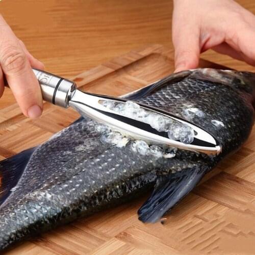 Hot 1PC Fish Skin Brush Scraping Fishing Scale Brush Graters Fast Remove Fish Knife Cleaning Peeler Scaler Scraper Dropshipping