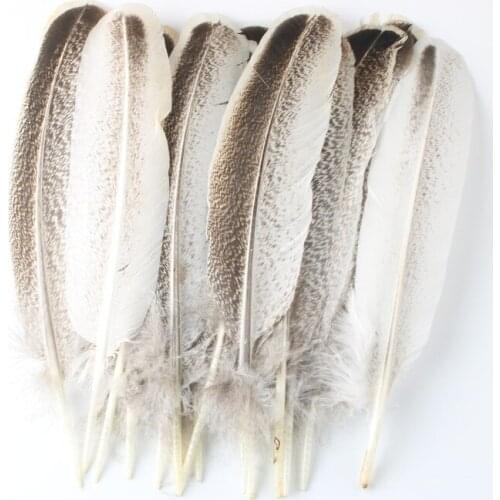 Beautiful 50pcs/lot Elegant Turkey Feathers 25-30cm/10-12 Inches Wedding Celebration Decoration Plume