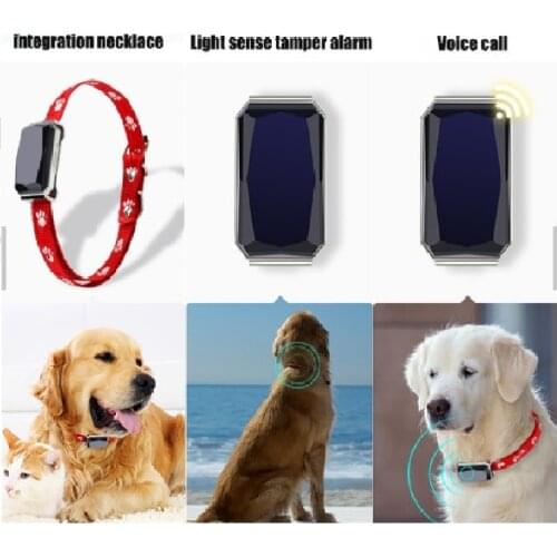 Wholesale Custom New GPS Dog Collar GPS Tracker for Dogs Cats RYDXTR-9