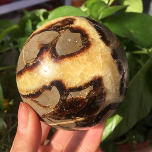 High Quality Natural Septarium Sphere Rare Reiki Turtle Back Stone Ball For Healing Decorative Gifts