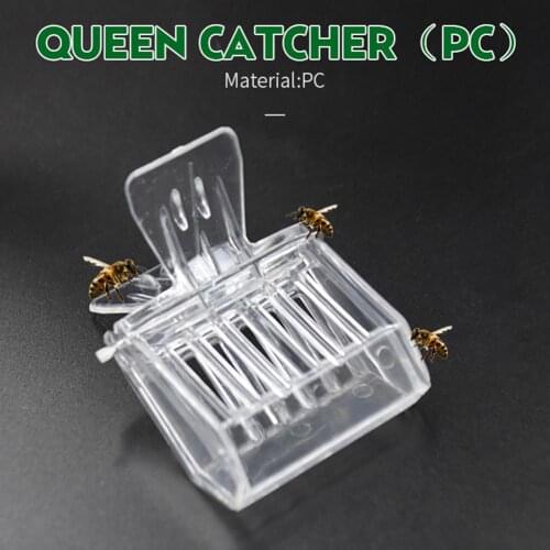 10Pcs Clear Plastic Bee Queen Catcher Clip Cage Beekeeping Equipment Clamp Tool Colorless Queen Cage Clip Garden tool