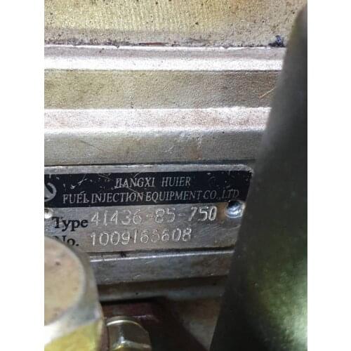 Fast shipping 4I436-85-750 injection Pump diesel engine LN4102D WATER cooled engine suit Chinese engine