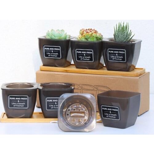 Succulent Flower Pots Automatic Water Absorption Flowerpot with Tray Plant Tool