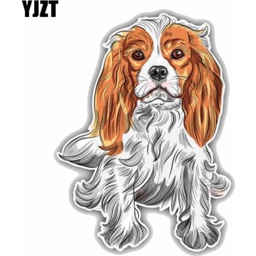 YJZT 13.1CMx17.9CM Cavalier King Charles Spaniel Dog PVC High Quality Material Car Sticker Decal C1-9030