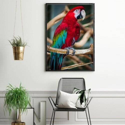 MUTU Beautiful Parrots Posters and Prints Wall Art Canvas Painting Wall Animal Art Pictures for Living Room Home Decor No Frame