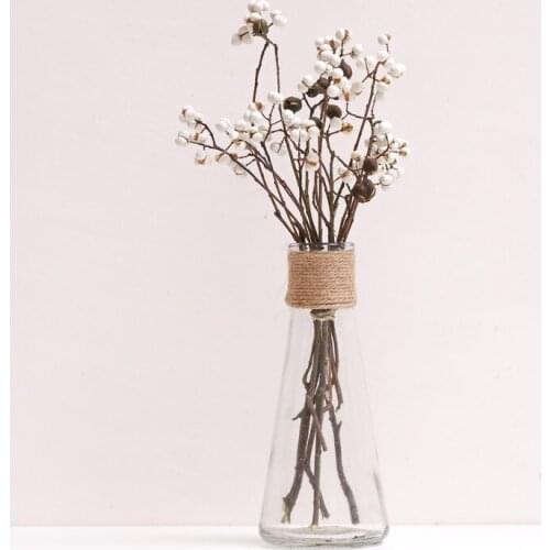 150G Natural Dried Fruit Dried Mushroom Grass Flower for Party Home Decor No Vase