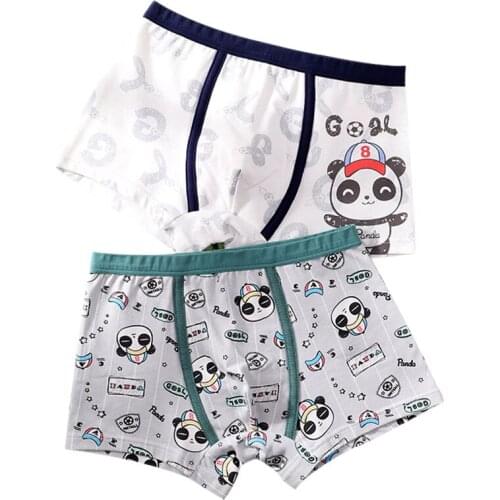 2 Pcs/pack Big Boys Underwear Cartoon Dinosaur Panties Pack Cotton Lovely Panda Shorts Pant Teenage Striped Underpants 8 12 Yrs