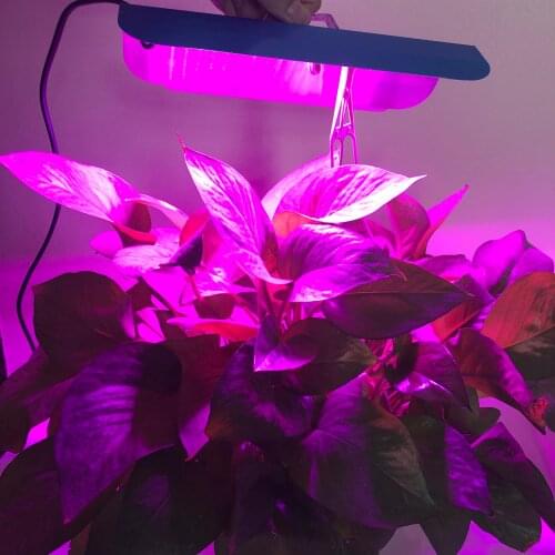 Shuncanda Plant Lamps