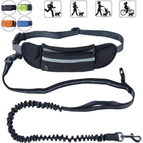 Pet dog cat running retractable belt reflective elastic band walking training dog leash collar set