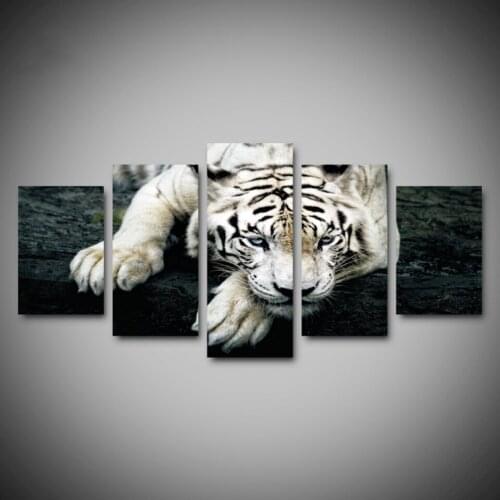 Canvas Home Decor Modular Wall Art Pictures Frame 5 Pieces The King Of Forest White Tiger Painting Living Room HD Prints Poster