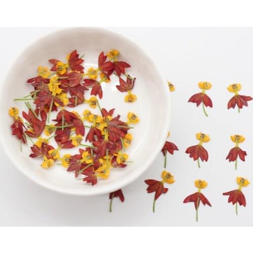 Dancing Flower Wall 3D Embossed Small Dried Flower Time Necklace Handmade Material Fleur Artificielle Decoration Home