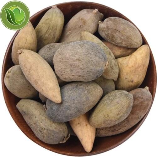 Wu Bei Zi High Quality Herb Medicine Nutgall Sumac Gallnut