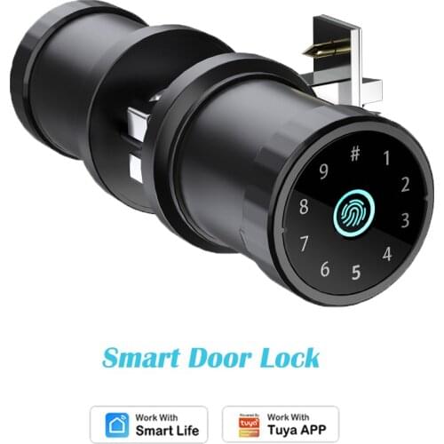 Tuya Smart Ball Lock Fingerprint Lock Smart Door Password Key Fingerprint for Tuya APP 4 Unlock Methods Bluetooth-compatible
