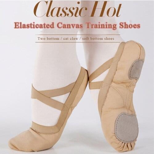 USHINE QWFY01 Professional Elastic Fabric Wear-Resistant Non-slip Training Teacher Breathable Women Canvas Ballet Dance Shoes