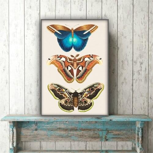 Beige Sepia Modern Victorian Butterfly Vintage Poster Prints Insect Education Wall Art Canvas Painting Picture Kids Room Home De