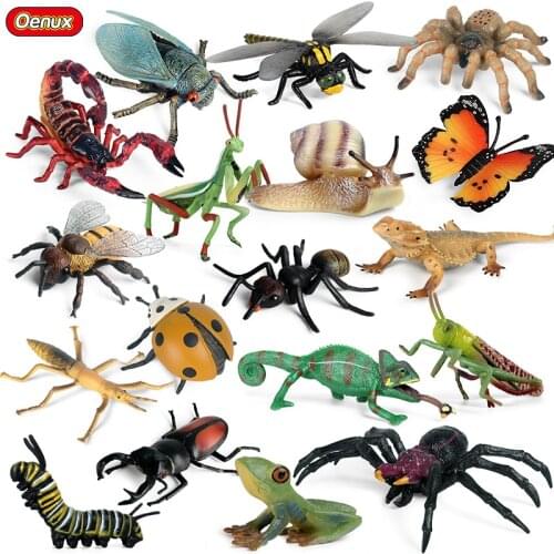 Oenux Insect Animals Model Butterfly Mantis Spider Bee Scorpion Dragonfly Action Figures Figurine Miniature Educational Kids Toy