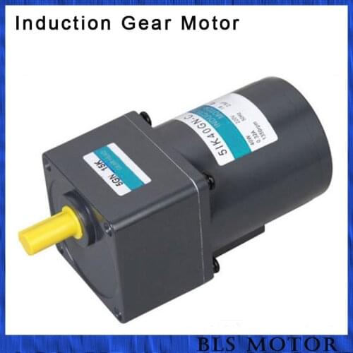 40W AC gear motor single phase 220V gear reducer