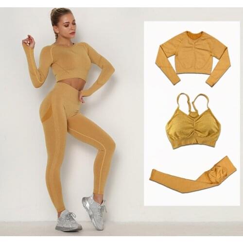 2/3Pcs Seamless Yoga Set Fitness Sport Suit Tracksuit Women Long Sleeve Shirts Sports Bra High Waist Running Leggings Sportswear