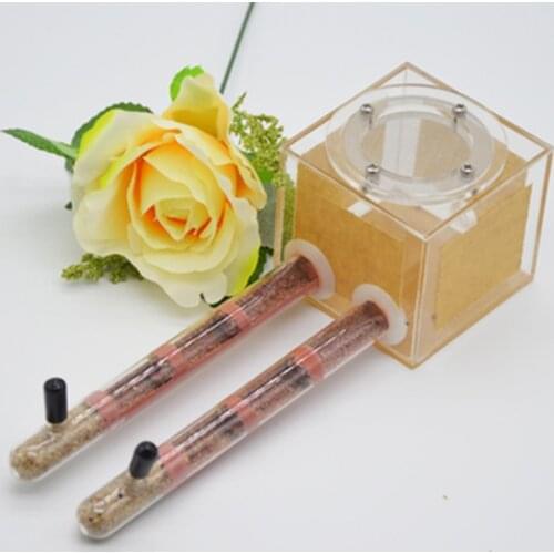 Beautiful Test Tube Ant Nest Acrylic Ant Farmhouse Bamboo Tube Small Pet Supplies