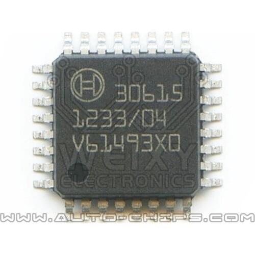 30615 Chip Use for BS ECU