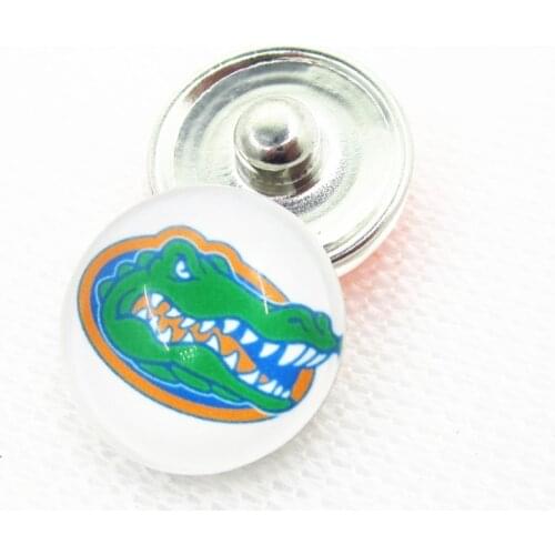20pcs/lot University of Florida Snap Buttons for 18mm US Sports Teams Snap Bracelet&Bangles DIY Snap Jewelry Charms