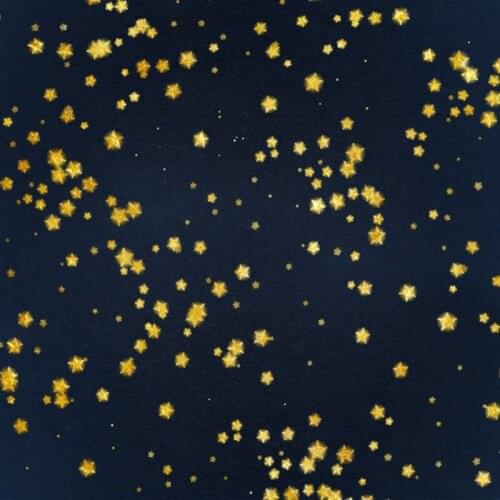 Golden Star and Black Backdrop Photography Background Baby Shower Celebration Photo Booth Studio Decor