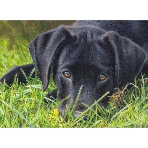 Full Diamond Embroidery Black Dog Labrador Mosaic Diamond 5d Diy Round Diamond Painting Crystal Cartoon Dogs E467